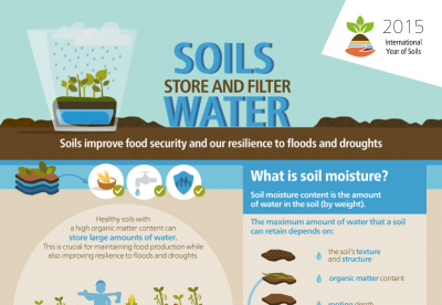 Uploaded image Soil_Moisture_Infographic.PNG