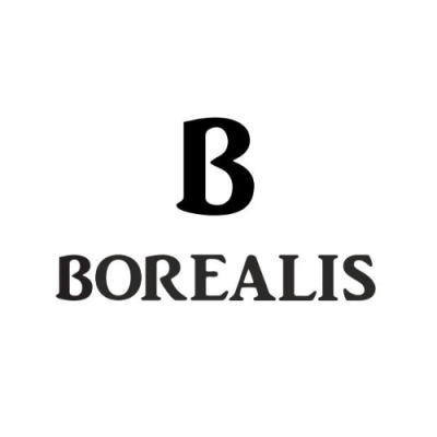 The profile picture for Borealis Watch Company