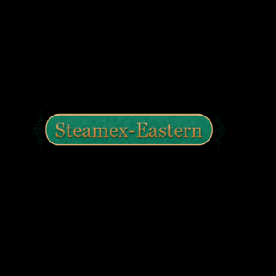 The profile picture for Steamex Eastern of Toledo
