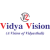 Avatar for Vision, Vidya