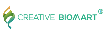 The profile picture for Creative BioMart