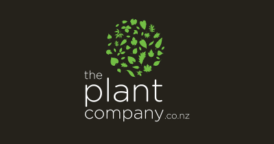 The profile picture for plant company