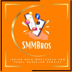 The profile picture for SMM Bros