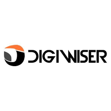 The profile picture for The Digiwiser