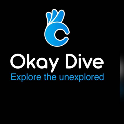 The profile picture for okay dive