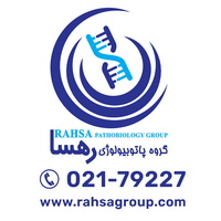 The profile picture for Rahsa ghadir