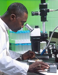 A Scientist Using a Microscope