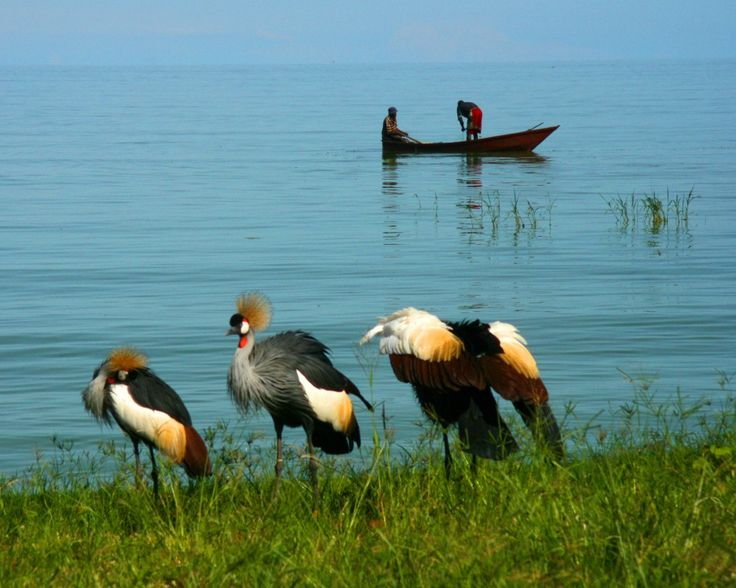 Lake Victoria